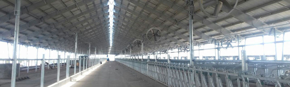 Interior de un tambo en Florida con estructura y equipamiento productivo.